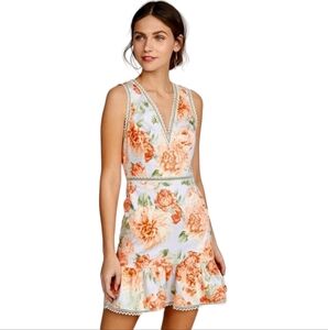 Alice + Olivia Kirean Floral Lace Cotton Mini Dress 12 NWT